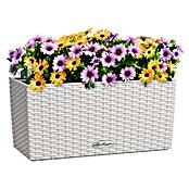 Lechuza Cottage Balkonkasten Blaconera (Max. Außenlänge: 40 cm, Kunststoff, Lichtgrau) | BAUHAUS