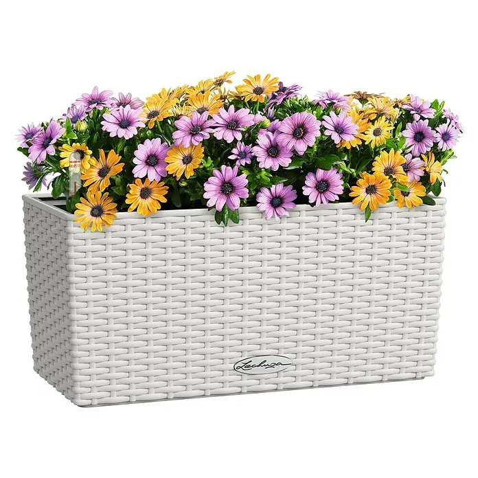 Lechuza Cottage Balkonkasten Blaconera - Max. Außenlänge: 40 cm, Kunststoff, Lichtgrau - Weißer geflochtener rechteckiger Lechuza Pflanzkübel mit lila und gelben Blüten gefüllt.
