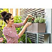 Lechuza Cottage Balkonkasten Balconera (Max. Außenlänge: 50 cm, Kunststoff, Sandbraun) | BAUHAUS