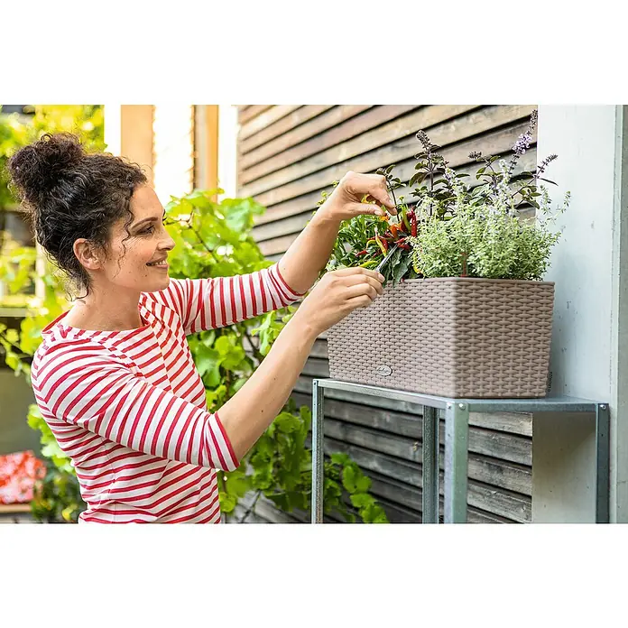 Lechuza Cottage Balkonkasten Balconera - Max. Außenlänge: 50 cm, Kunststoff, Sandbraun - Lechuza Pflanzgefäß in Beige mit geflochtener Optik, gefüllt mit Kräutern und Paprika, auf einem Ständer, von einer Person gepflegt.