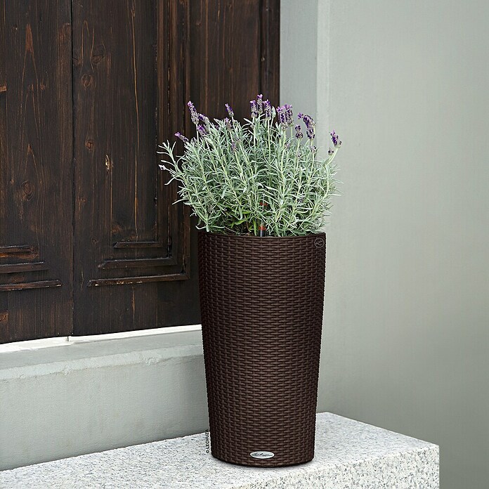 Lechuza Cottage Pflanzsäule rund Cilindro (Ø x H: 23 x 41 cm, Kunststoff, Mokka) | BAUHAUS