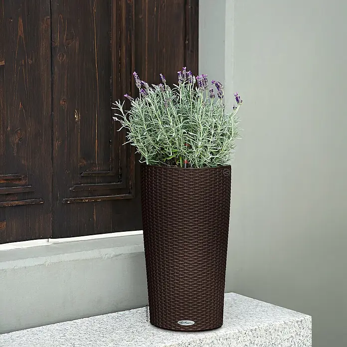 Lechuza Cottage Pflanzsäule rund Cilindro - Außenmaß (Ø x H): 23 x 41 cm, Kunststoff, Mokka - Hoher, dunkelbrauner Pflanzkübel in Rattan-Optik mit Lavendel, auf einer Granitstufe vor einer Holztür platziert.