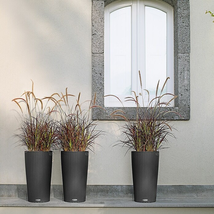 Lechuza Cottage Pflanzsäule rund Cilindro (Ø x H: 23 x 41 cm, Kunststoff, Granit) | BAUHAUS