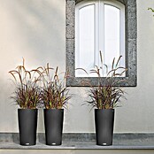 Lechuza Cottage Pflanzsäule rund Cilindro (Ø x H: 23 x 41 cm, Kunststoff, Granit) | BAUHAUS