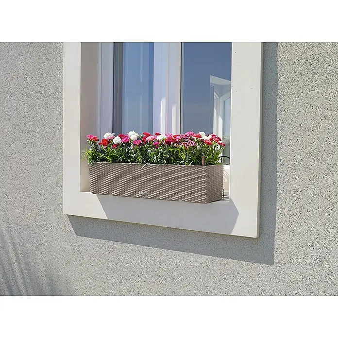 Lechuza Cottage Balkonkasten Blaconera - Max. Außenlänge: 80 cm, Kunststoff, Sandbraun - Beiger Korboptik-Blumenkasten mit bunten Blumen auf einem Fensterbrett.