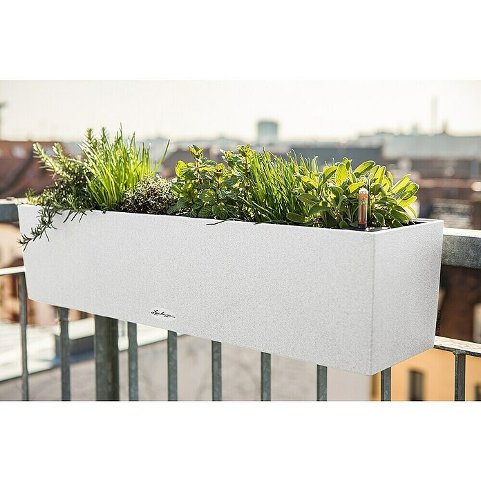 Lechuza Balkonkasten Balconera Stone (Max. Außenlänge: 80 cm, Kunststoff, Quarzweiß) | BAUHAUS