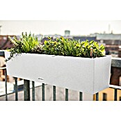 Lechuza Balkonkasten Balconera Stone (Max. Außenlänge: 80 cm, Kunststoff, Quarzweiß) | BAUHAUS