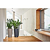 Lechuza Color Pflanzsäule rund Cilindro (Außenmaß (Ø x H): 32 x 56 cm, Kunststoff, Sandbraun) | BAUHAUS