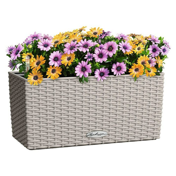 Lechuza Cottage Balkonkasten Blaconera (Max. Außenlänge: 40 cm, Kunststoff, Sandbraun) | BAUHAUS