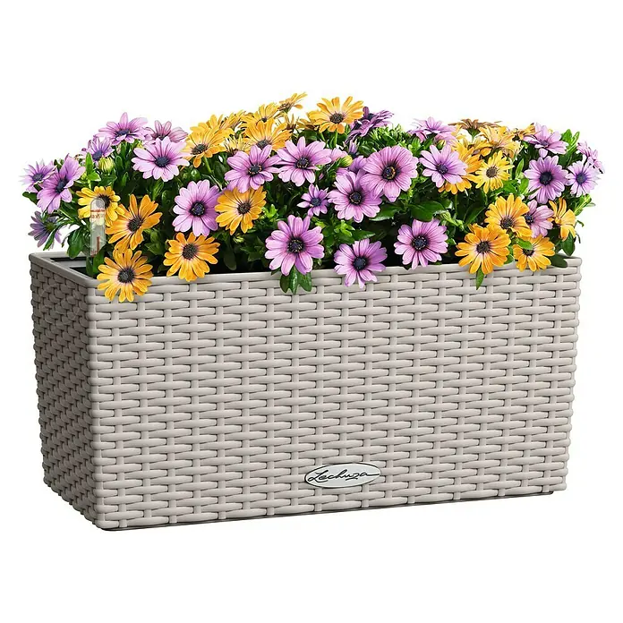 Lechuza Cottage Balkonkasten Blaconera - Max. Außenlänge: 40 cm, Kunststoff, Sandbraun - Hellgrauer, geflochtener rechteckiger Pflanzkübel mit leuchtend violetten und gelben Blumen.