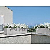 Lechuza Cottage Balkonkasten Blaconera (Max. Außenlänge: 80 cm, Kunststoff, Lichtgrau) | BAUHAUS