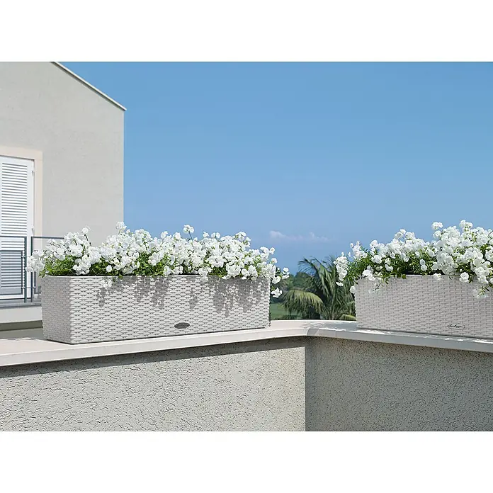 Lechuza Cottage Balkonkasten Blaconera - Max. Außenlänge: 80 cm, Kunststoff, Lichtgrau - Weiße Balkon-Pflanzkästen im Rattan-Stil, gefüllt mit weißen Blüten.