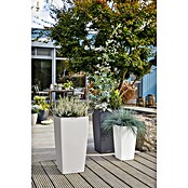 Lechuza Cottage Pflanzsäule eckig Cubico 40 (Außenmaß (L x B x H): 39,5 x 39,5 x 75,5 cm, Kunststoff, Lichtgrau) | BAUHAUS