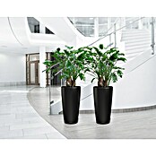 Lechuza Pflanzsäule rund Rondo Premium (Außenmaß (Ø x H): 32,5 x 56,5 cm, Kunststoff, Schwarz Matt) | BAUHAUS