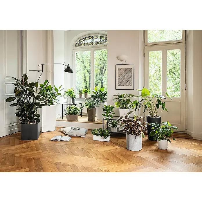 Lechuza Pflanzkasten Canto Premium - Außenmaß (L x B x H): 40 x 40 x 40 cm, Kunststoff, Anthrazit Metallic - Eine Auswahl an Lechuza Pflanzgefäßen in verschiedenen Formen, Größen und Farben (Schwarz, Weiß, Grau, Taupe, Filz) mit Zimmerpflanzen in einem hellen Raum.