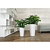 Lechuza Pflanzsäule rund Rondo Premium (Außenmaß (Ø x H): 40 x 75 cm, Kunststoff, Weiß Matt) | BAUHAUS