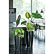 Lechuza Pflanzsäule rund Rondo Premium (Außenmaß (Ø x H): 40 x 75 cm, Kunststoff, Grau Matt) | BAUHAUS