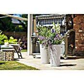 Lechuza Cottage Pflanzsäule rund Cilindro (Ø x H: 32 x 56 cm, Kunststoff, Lichtgrau) | BAUHAUS