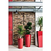 Lechuza Pflanzsäule rund Rondo Premium (Außenmaß (Ø x H): 32,5 x 56,5 cm, Kunststoff, Rot Glänzend) | BAUHAUS