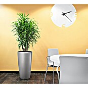 Lechuza Pflanzsäule rund Rondo Premium (Außenmaß (Ø x H): 40 x 75 cm, Kunststoff, Anthrazit Metallic) | BAUHAUS