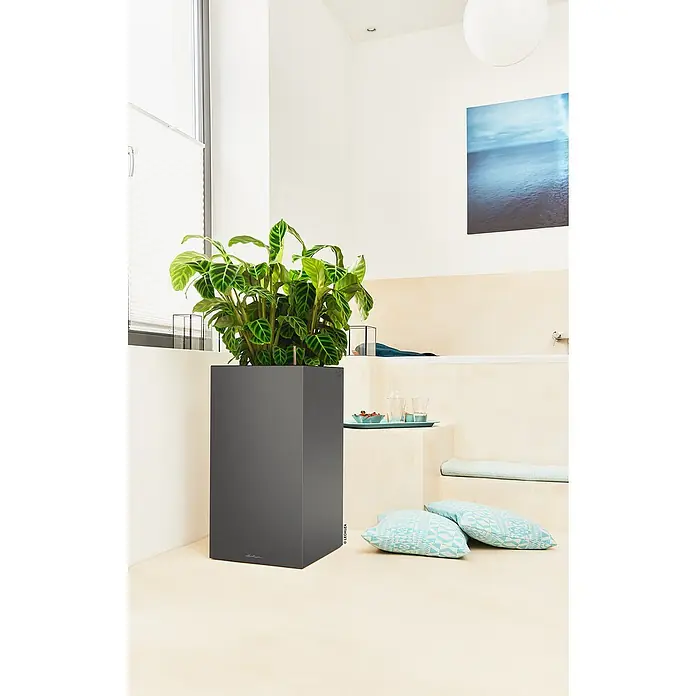 Lechuza Pflanzsäule eckig Canto Premium - Außenmaß (L x B x H): 40 x 40 x 76 cm, Kunststoff, Anthrazit Metallic - Hoher, dunkelgrauer rechteckiger Pflanzkübel mit einer üppigen Grünpflanze in einem modernen Interieur.