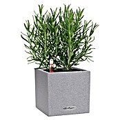 Lechuza Pflanzkübel eckig Canto Stone (Außenmaß (L x B x H): 14 x 14 x 13,5 cm, Kunststoff, Grau) | BAUHAUS