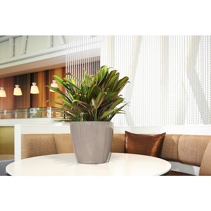 Lechuza Classico Pflanztopf Premium LS (Außenmaß (Ø x H): 36 x 32,5 cm, Kunststoff, Taupe) | BAUHAUS