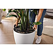 Lechuza Classico Pflanztopf Color LS (Außenmaß (Ø x H): 28 x 26 cm, Kunststoff, Weiß) | BAUHAUS