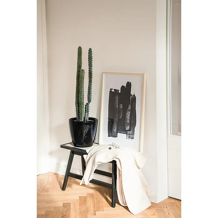Lechuza Classico Pflanztopf Premium LS - Außenmaß (Ø x H): 43,5 x 39,5 cm, Kunststoff, Schwarz - Ein hoher Kaktus in einem schwarzen Topf auf einem schwarzen Holzschemel mit heller Decke und gerahmter abstrakter Kunst daneben.