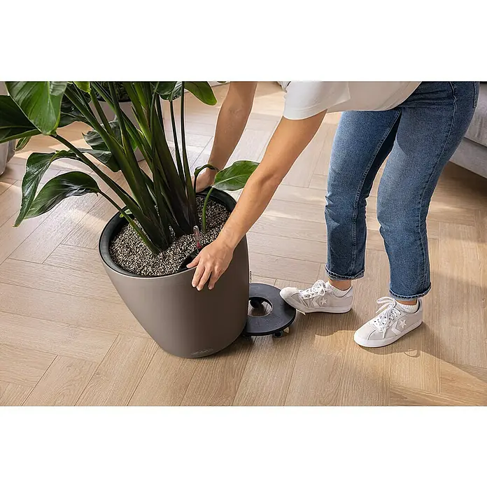 Lechuza Classico Pflanztopf Color LS - Außenmaß (Ø x H): 43 x 39 cm, Kunststoff, Muskat - Großer, mattgrauer Pflanztopf mit Selbstbewässerung, Wasserstandsanzeige und Rolluntersatz, von einer Person gepflegt.