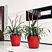 Lechuza Classico Pflanztopf Premium LS (Außenmaß (Ø x H): 28,5 x 26 cm, Kunststoff, Rot) | BAUHAUS