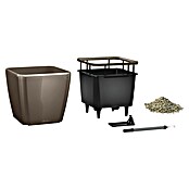 Lechuza Pflanzkasten Quadro Premium (Außenmaß (L x B x H): 28 x 28 x 26 cm, Kunststoff, Taupe) | BAUHAUS