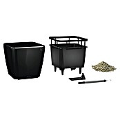Lechuza Pflanzkasten Quadro Premium (Außenmaß (L x B x H): 35,5 x 35,5 x 32,5 cm, Kunststoff, Schwarz) | BAUHAUS