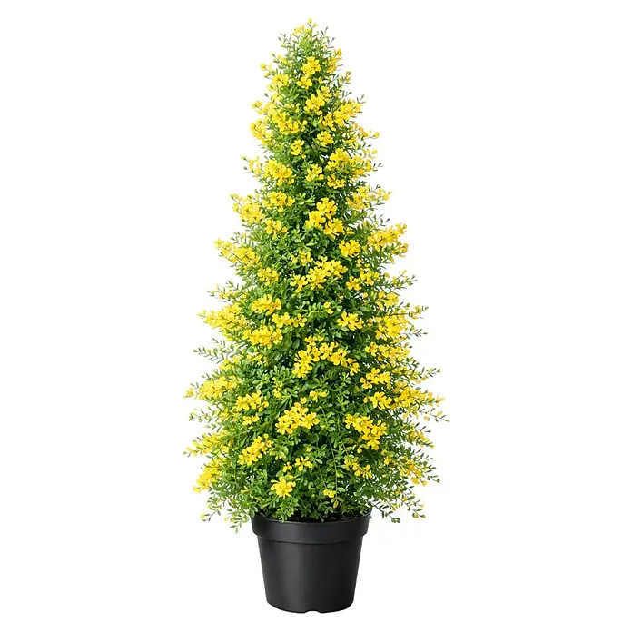 Piardino Ginster Pyramide - Cytisus racemosus, 17 cm, Gelb - Dekorative Kunstpflanze mit gelben Blüten und grünen Blättern im schwarzen Topf.