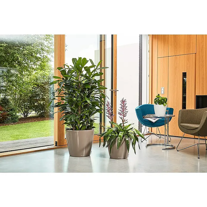 Lechuza Classico Pflanztopf Premium LS - Außenmaß (Ø x H): 28,5 x 26 cm, Kunststoff, Taupe - Zwei große, taupefarbene Pflanztöpfe mit Grünpflanzen, in einem Innenraum mit Gartenblick.