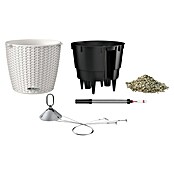 Lechuza Cottage Blumenampel Nido (Außenmaß (Ø x H): 27 x 23 cm, Kunststoff, Grau) | BAUHAUS