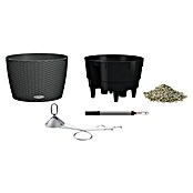 Lechuza Cottage Blumenampel Nido (Außenmaß (Ø x H): 35 x 23 cm, Kunststoff, Granit) | BAUHAUS