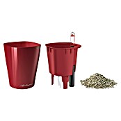 Lechuza Pflanztopf Mini-Deltini (Außenmaß (Ø x H): 10 x 13 cm, Kunststoff, Rot) | BAUHAUS