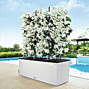 Lechuza Cottage Balkonkasten Trio (Außenmaß (L x B x H): 100 x 32,5 x 34,5 cm, Kunststoff, Weiß) | BAUHAUS