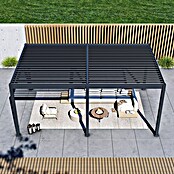 Paragon Outdoor Pergola Grand Tuscan 1220 (Anthrazit, Metall, L x B x H: 599,2 x 370 x 256 cm) | BAUHAUS