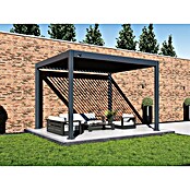 Paragon Outdoor Pergola Grand Tuscan 1012 (Anthrazit, Metall, L x B x H: 310 x 370 x 256 cm) | BAUHAUS
