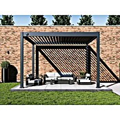 Paragon Outdoor Pergola Grand Tuscan 1012 (Anthrazit, Metall, L x B x H: 310 x 370 x 256 cm) | BAUHAUS