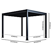 Paragon Outdoor Pergola Grand Tuscan 1012 (Anthrazit, Metall, L x B x H: 310 x 370 x 256 cm) | BAUHAUS
