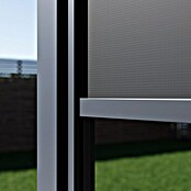 Paragon Outdoor Seitenteil Grand Tuscan (Grau, Kunststoff, Passend für: Pergola Grand Tuscan 10) | BAUHAUS