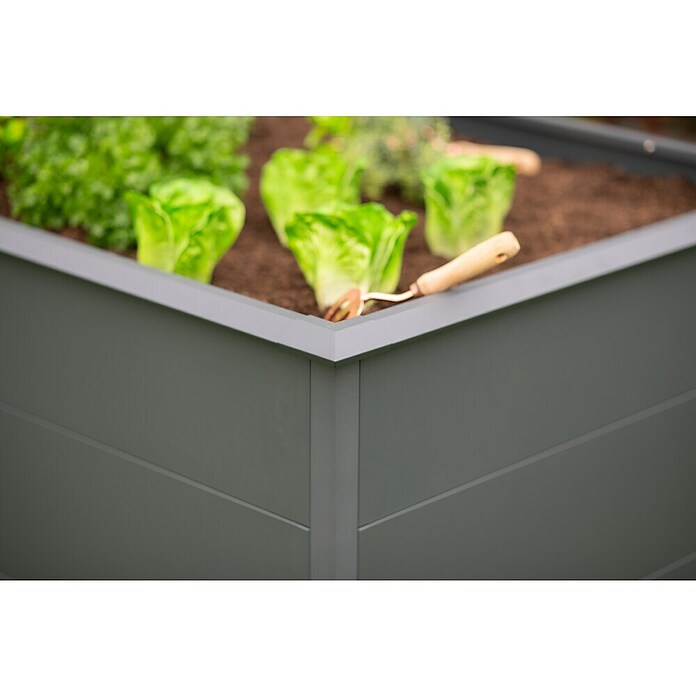 Westmann Hochbeet Primus XL (100 x 200 x 77 cm, Stahl, Anthrazit) | BAUHAUS