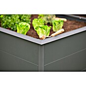 Westmann Hochbeet Primus XL (100 x 200 x 77 cm, Stahl, Anthrazit) | BAUHAUS