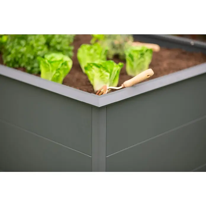 Westmann Hochbeet Primus XL - 100 x 200 x 77 cm, Stahl, Anthrazit - Graues Hochbeet mit wachsendem Salat und kleinem Gartengerät.