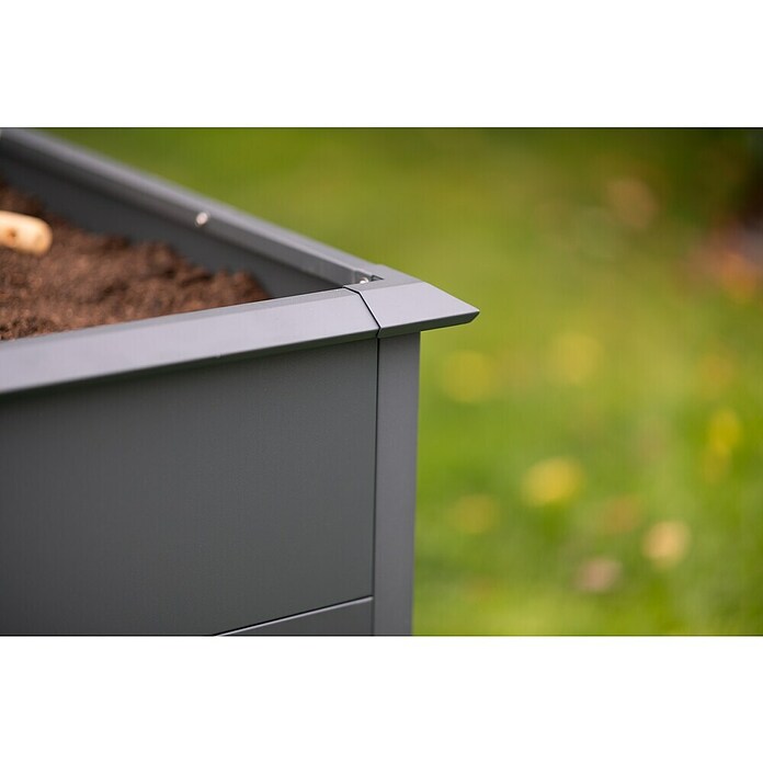 Westmann Hochbeet Primus XL (100 x 200 x 77 cm, Stahl, Anthrazit) | BAUHAUS