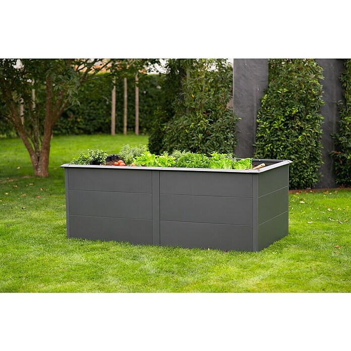 Westmann Hochbeet Primus XL (100 x 200 x 77 cm, Stahl, Anthrazit) | BAUHAUS