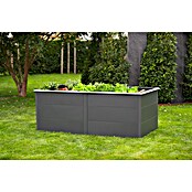 Westmann Hochbeet Primus XL (100 x 200 x 77 cm, Stahl, Anthrazit) | BAUHAUS